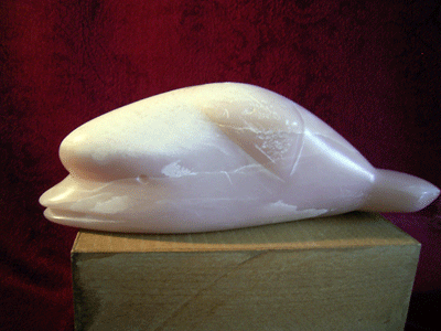 Beluga-Wal